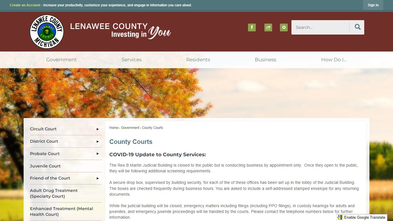 County Courts | Lenawee County, MI